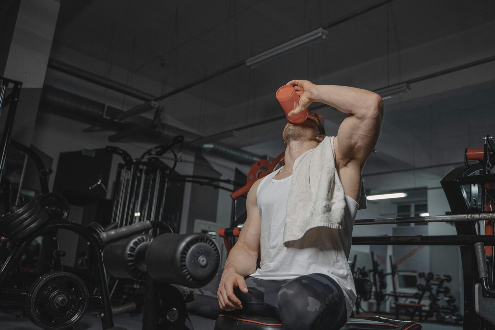 Top 3 suplementos mais buscados em 2025
